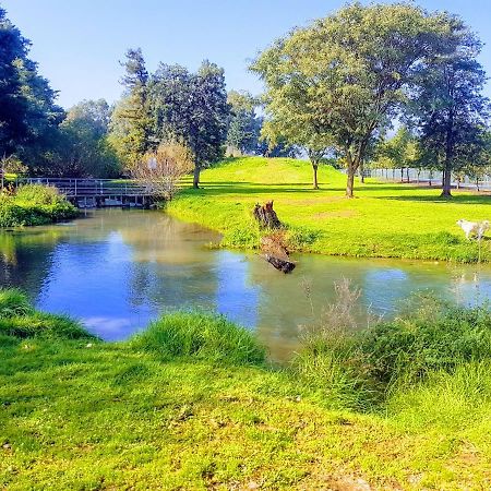 Huge & Private Villa In Kibbutz Dafna Zewnętrze zdjęcie